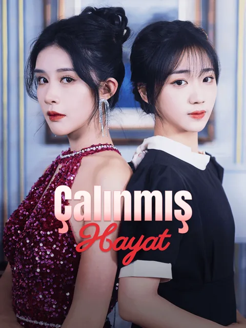 Çalınmış Hayat