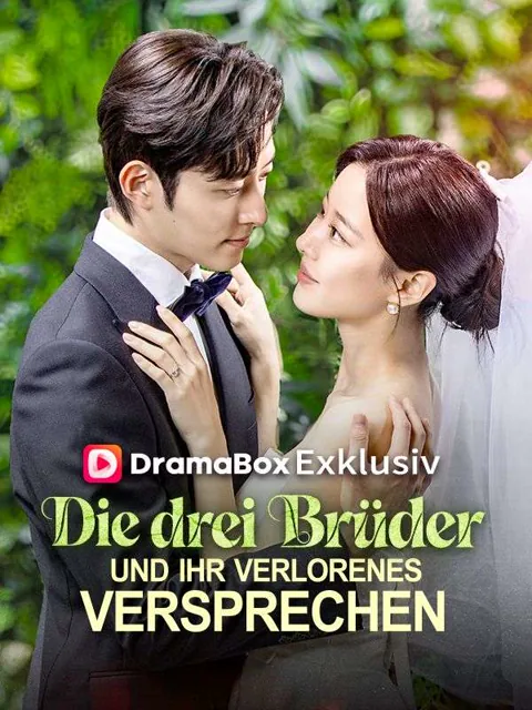 Die drei Brüder und ihr verlorenes Versprechen Cover — alle 62 Folgen kostenlos in HD ansehen