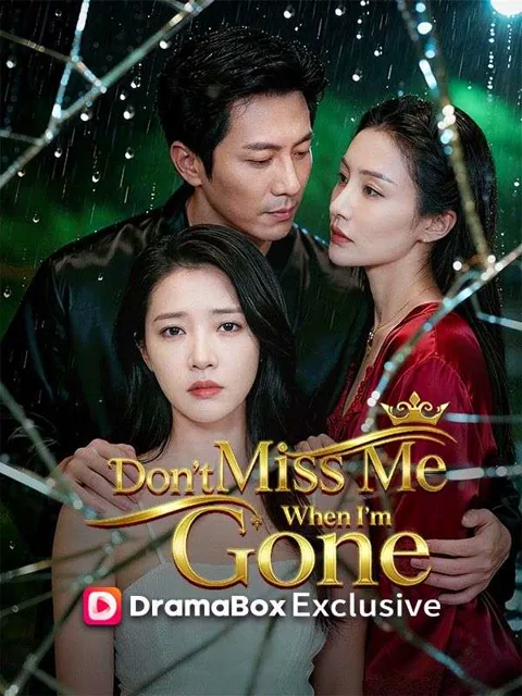 Don't Miss Me When I'm Gone