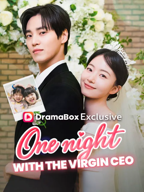 One Night With the Virgin CEO (DUBBED)