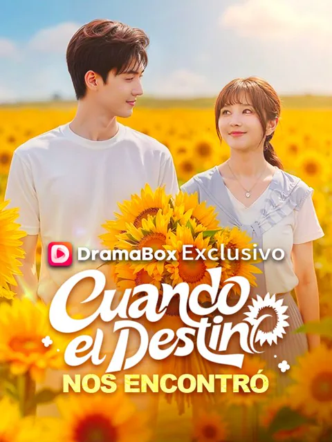 Cuando el destino nos encontró portada — ver los 60 episodios gratis en HD
