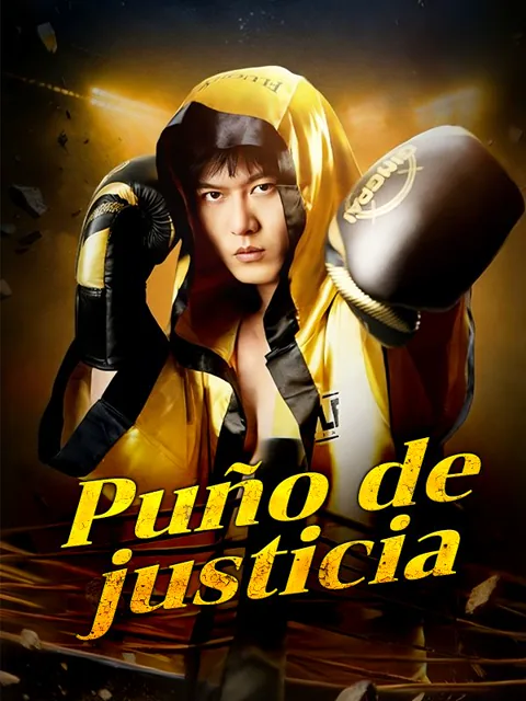 Puño de justicia portada — ver los 63 episodios gratis en HD