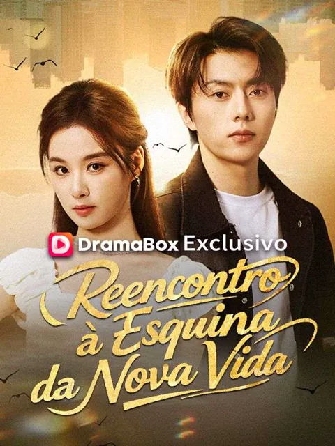 Reencontro à Esquina da Nova Vida