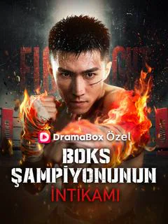 Boks Şampiyonunun İntikamı dizisi kapak görseli — 72 bölüm full HD Türkçe izle