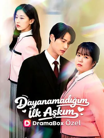 Dayanamadığım İlk Aşkım dizisi kapak görseli — 60 bölüm full HD Türkçe izle