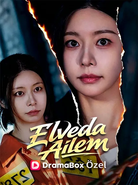 Elveda Ailem dizisi kapak görseli — 55 bölüm full HD Türkçe izle