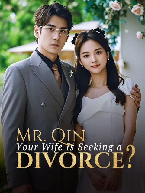 Mr. Qin, Your Wife Is Seeking a Divorce? cover image — watch all 79 episodes free in HD