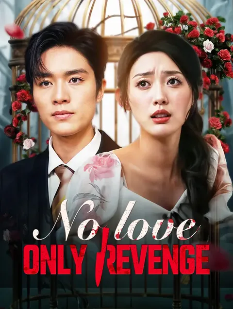 No Love, Only Revenge cover image — watch all 80 episodes free in HD
