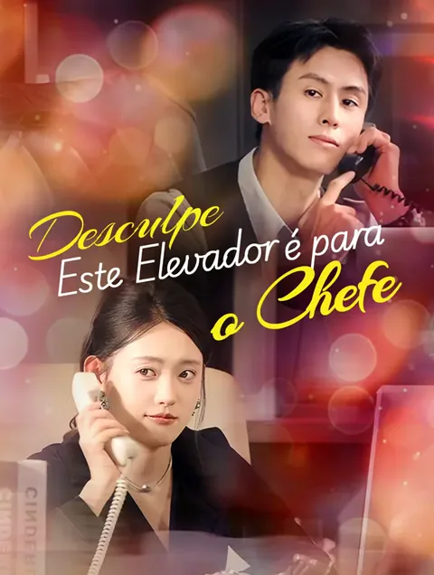 Desculpe, Este Elevadoré para o Chefe