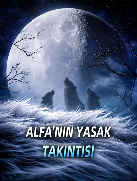 ALFA'NIN YASAK TAKINTISI dizisi kapak görseli — 37 bölüm full HD Türkçe izle