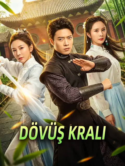 Dövüş Kralı dizisi kapak görseli — 36 bölüm full HD Türkçe izle