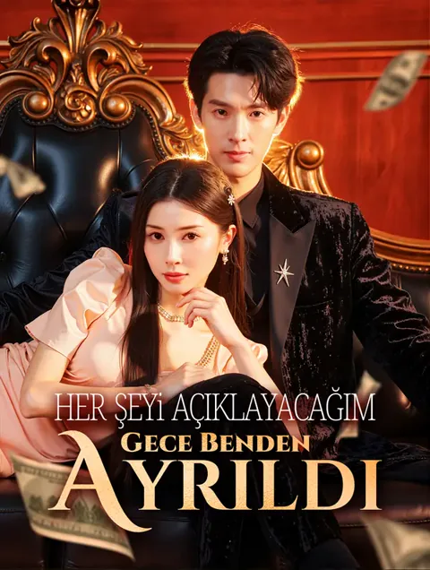 Her Şeyi Açıklayacağım Gece Benden Ayrıldı