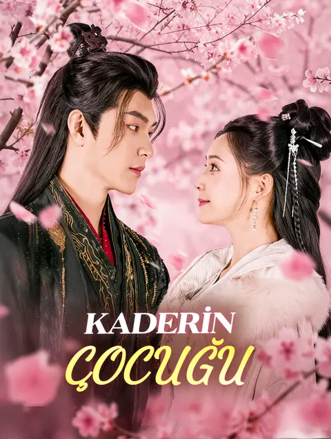 KADERİN ÇOCUĞU dizisi kapak görseli — 80 bölüm full HD Türkçe izle