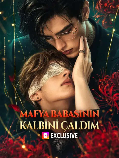 MAFYA BABASININ KALBİNİ ÇALDIM dizisi kapak görseli — 46 bölüm full HD Türkçe izle