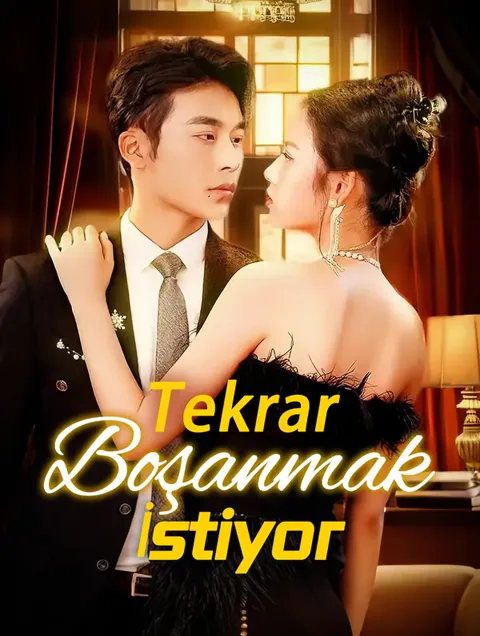 Tekrar Boşanmak İstiyor dizisi kapak görseli — 80 bölüm full HD Türkçe izle