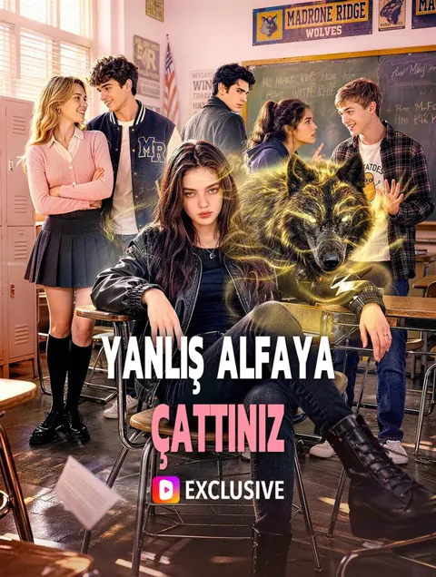 YANLIŞ ALFAYA ÇATTINIZ dizisi kapak görseli — 45 bölüm full HD Türkçe izle