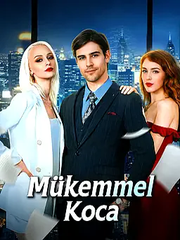 Mükemmel Koca dizisi kapak görseli — 60 bölüm full HD Türkçe izle