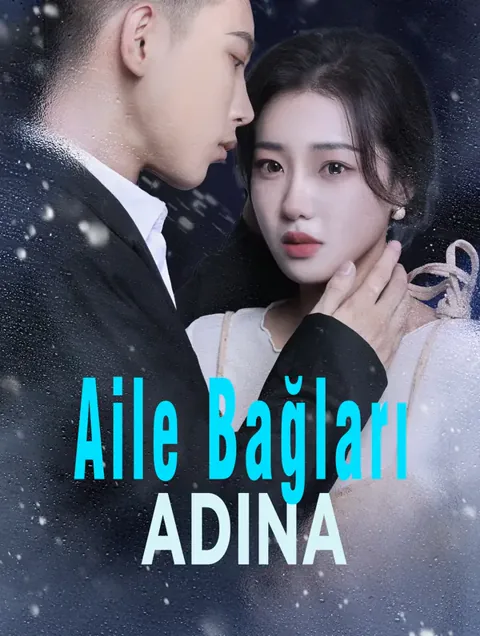 Aile Bağları Adına(Dublajlı) dizisi kapak görseli — 80 bölüm full HD Türkçe izle