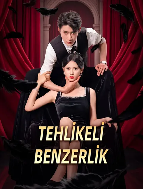 TEHLİKELİ BENZERLİK