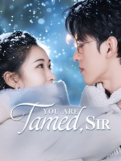 (Dubbed)You Are Tamed, Sir cover image — watch all 75 episodes free in HD