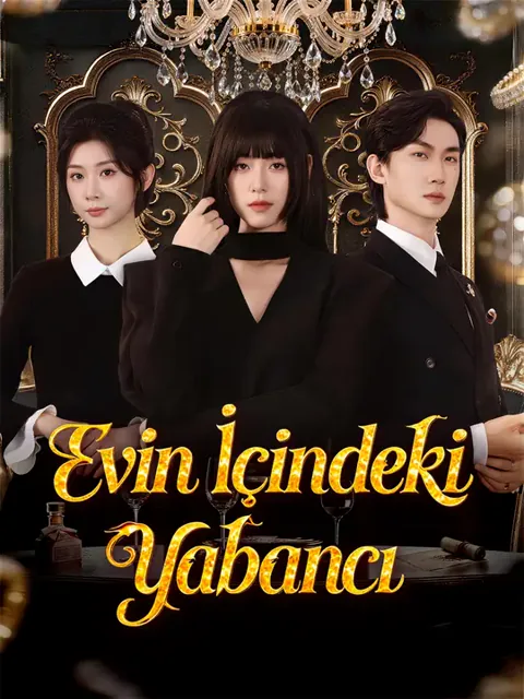 Evin İçindeki Yabancı dizisi kapak görseli — 64 bölüm full HD Türkçe izle