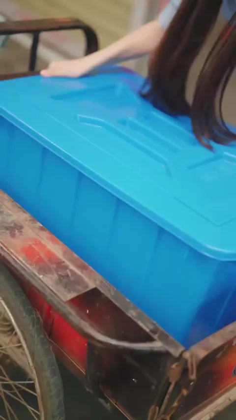 Die Fischhändlerin des CEOs