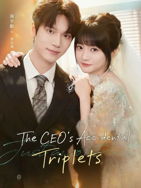 The CEO's Accidental Triplets