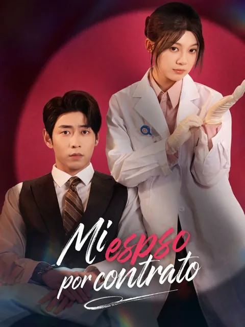 Mi esposo por contrato