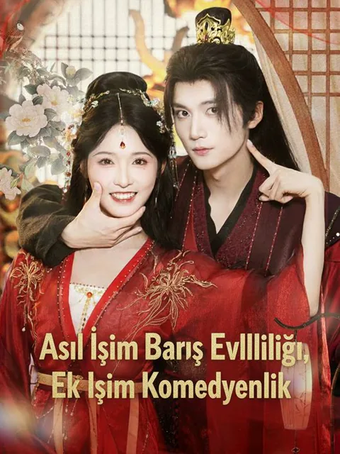 Asıl İşim Barış Evliliği, Ek İşim Komedyenlik