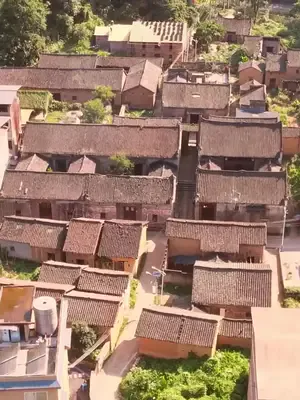 Ayla'nın mucizesi