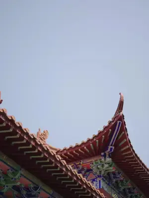 Başkanın şımarttığı dört çocuk