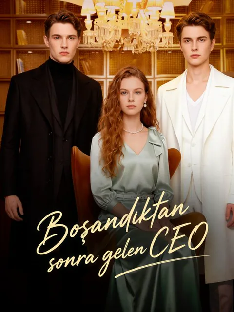 Boşandıktan sonra gelen CEO dizisi kapak görseli — 30 bölüm full HD Türkçe izle