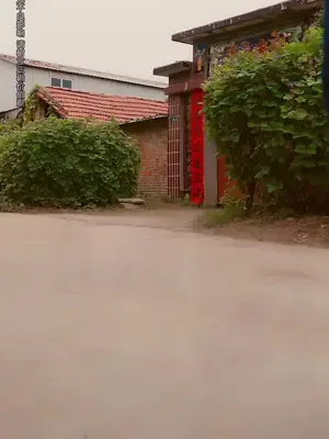 Boşandıktan Sonra Kopyalama Sistemim Oldu