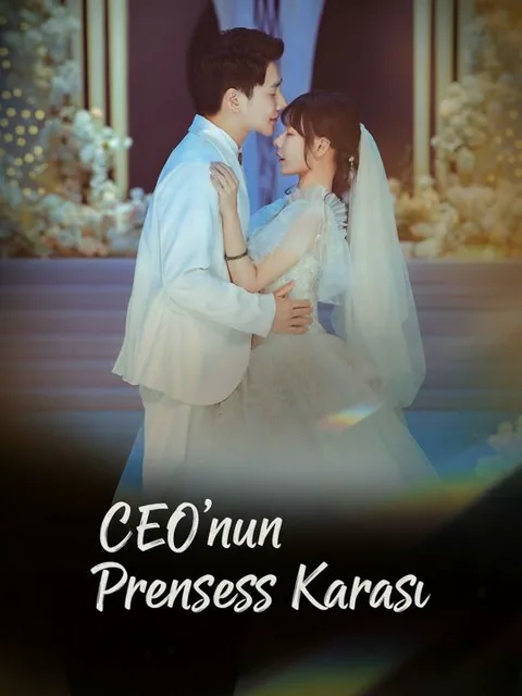 CEO'nun Prenses Karısı dizisi kapak görseli — 71 bölüm full HD Türkçe izle