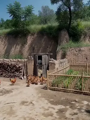 Dokuz Kuyruklu Tilki'nin Ödülü
