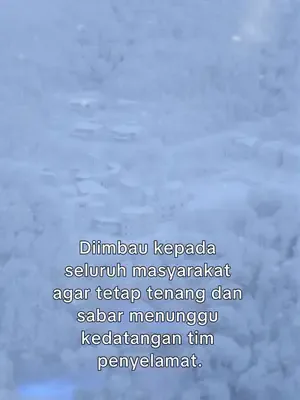 Donmuş kardeşlerin pişmanlığı