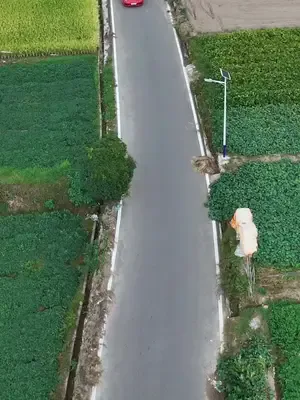 Ejderha Sarayı'na Açılan Kuyu