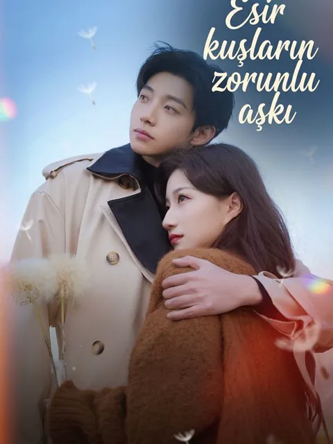 Esir kuşların zorunlu aşkı dizisi kapak görseli — 77 bölüm full HD Türkçe izle