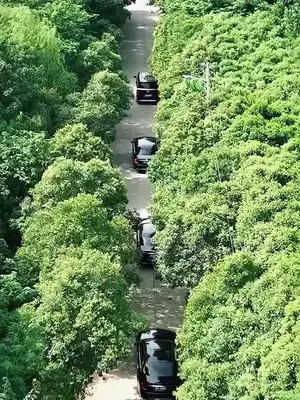 Gizli kimlikli milyarder başkan
