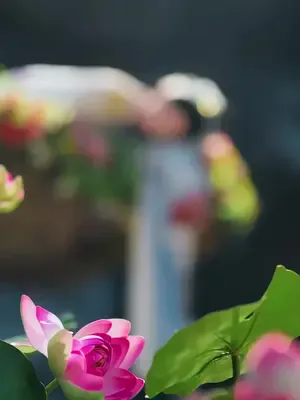 Hovarda lordun şanslı gelini