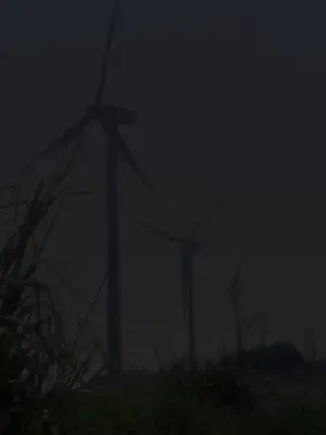 Kelebek dövmesi aşkı