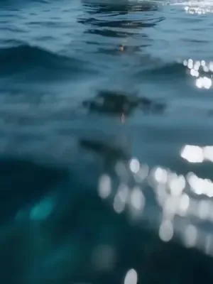 Kıyı avcısı peri gözüyle zengin dizisi kapak görseli — 77 bölüm full HD Türkçe izle