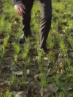 Köyde Bulduğum Milyarder