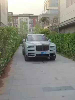 Maskeli mirasçı