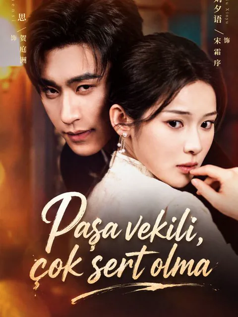 Paşa vekili, çok sert olma dizisi kapak görseli — 70 bölüm full HD Türkçe izle