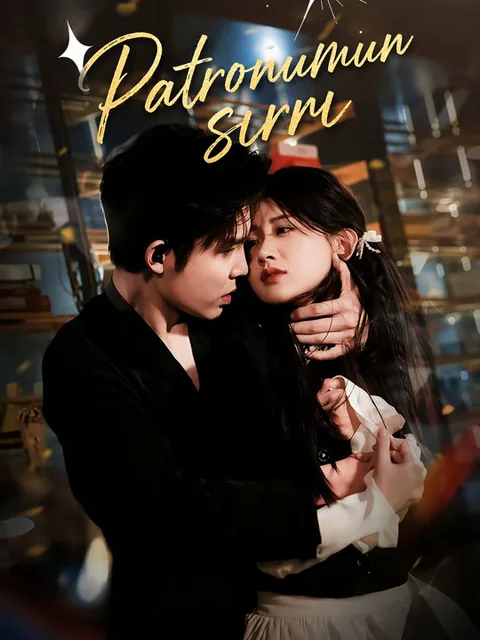 Patronumun sırrı dizisi kapak görseli — 65 bölüm full HD Türkçe izle