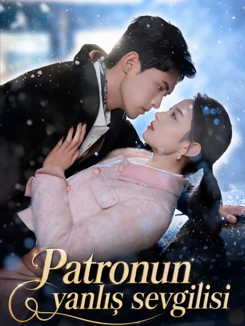 Patronun yanlış sevgilisi dizisi kapak görseli — 77 bölüm full HD Türkçe izle