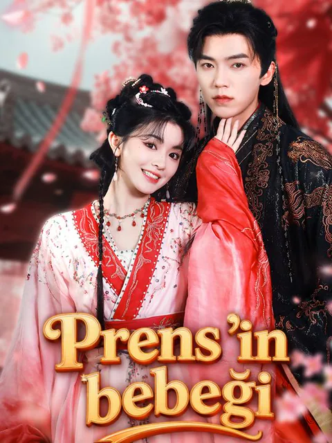 Prens'in bebeği dizisi kapak görseli — 66 bölüm full HD Türkçe izle