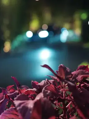 Şaka ters teptiğinde