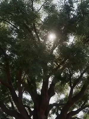 Sınırdaki zaman yolcusu asker